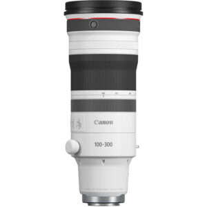 Lente Canon RF 100-300 mm f/2.8 L IS USM (Canon RF)